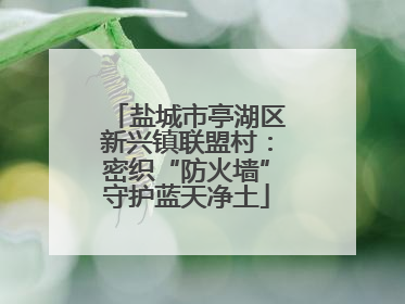 盐城市亭湖区新兴镇联盟村：密织“防火墙”守护蓝天净土