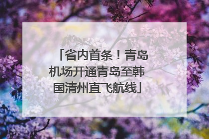 省内首条！青岛机场开通青岛至韩国清州直飞航线