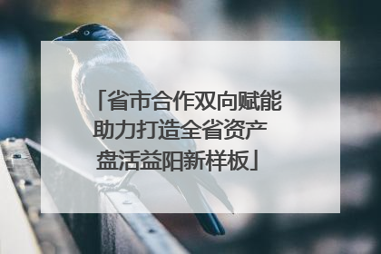 省市合作双向赋能 助力打造全省资产盘活益阳新样板