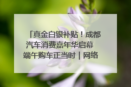 真金白银补贴！成都汽车消费嘉年华启幕 端午购车正当时｜网络中国节·端午