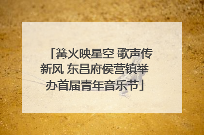 篝火映星空 歌声传新风 东昌府侯营镇举办首届青年音乐节