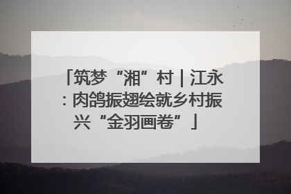 筑梦“湘”村｜江永：肉鸽振翅绘就乡村振兴“金羽画卷”