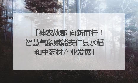 神农故郡 向新而行！智慧气象赋能安仁县水稻和中药材产业发展