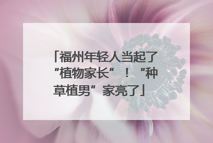 福州年轻人当起了“植物家长”！“种草植男”家亮了