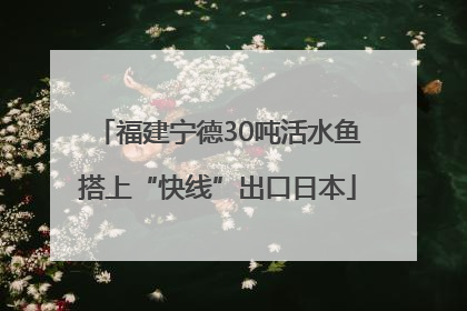 福建宁德30吨活水鱼搭上“快线”出口日本