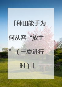 种田能手为何从容“放手”（三夏进行时）