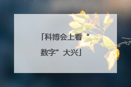 科博会上看“数字”大兴