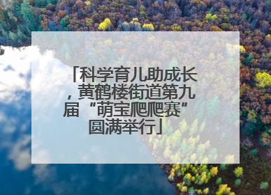 科学育儿助成长，黄鹤楼街道第九届“萌宝爬爬赛”圆满举行