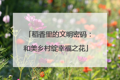 稻香里的文明密码：和美乡村绽幸福之花
