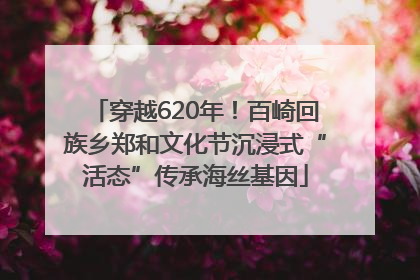 穿越620年！百崎回族乡郑和文化节沉浸式“活态”传承海丝基因