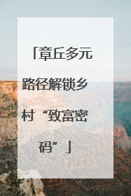 章丘多元路径解锁乡村“致富密码”