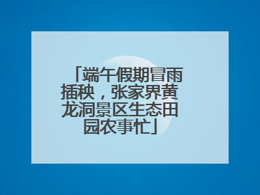 端午假期冒雨插秧，张家界黄龙洞景区生态田园农事忙