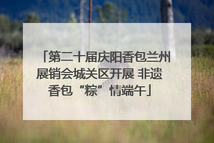 第二十届庆阳香包兰州展销会城关区开展 非遗香包“粽”情端午