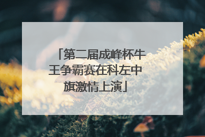 第二届成峰杯牛王争霸赛在科左中旗激情上演