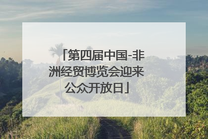 第四届中国-非洲经贸博览会迎来公众开放日