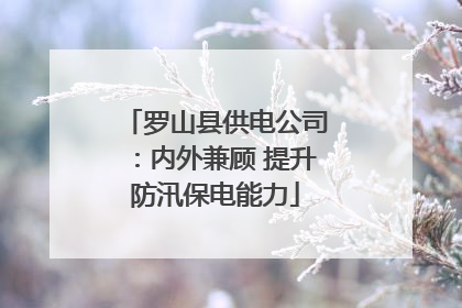 罗山县供电公司：内外兼顾 提升防汛保电能力