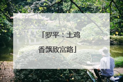 罗平：土鸡香飘致富路