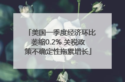 美国一季度经济环比萎缩0.2% 关税政策不确定性拖累增长