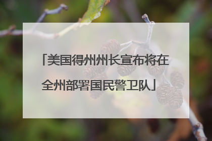 美国得州州长宣布将在全州部署国民警卫队