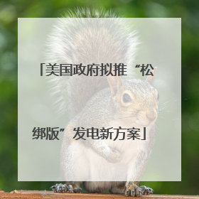 美国政府拟推“松绑版”发电新方案