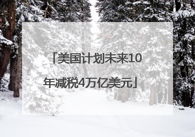 美国计划未来10年减税4万亿美元