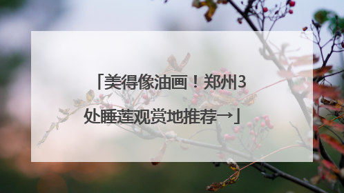 美得像油画！郑州3处睡莲观赏地推荐→