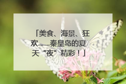 美食、海景、狂欢……秦皇岛的夏天“夜”精彩！