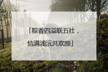 粽香四溢联五社，情满浦沅共欢颜