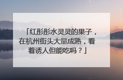 红彤彤水灵灵的果子，在杭州街头大量成熟，看着诱人但能吃吗？