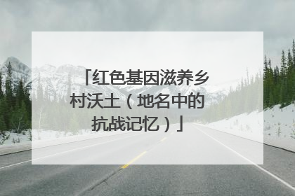 红色基因滋养乡村沃土（地名中的抗战记忆）
