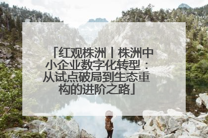 红观株洲丨株洲中小企业数字化转型：从试点破局到生态重构的进阶之路