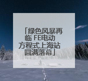绿色风暴再临 FE电动方程式上海站圆满落幕