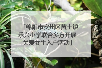 绵阳市安州区黄土镇乐兴小学联合多方开展关爱女生入户活动