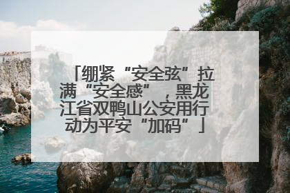 绷紧“安全弦”拉满“安全感”，黑龙江省双鸭山公安用行动为平安“加码”