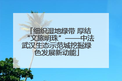 细织湿地绿带 厚结“文旅明珠”——中法武汉生态示范城挖掘绿色发展新动能
