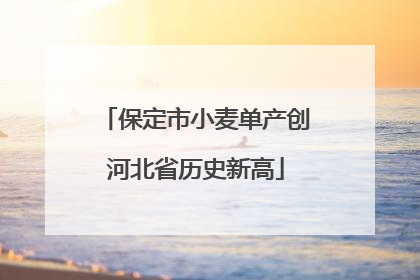 保定市小麦单产创河北省历史新高