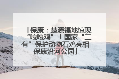 保康：楚源福地惊现“嘎嘎鸡”！国家“三有”保护动物石鸡亮相保康沿河公园