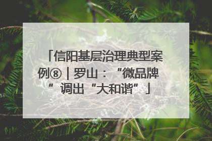 信阳基层治理典型案例⑧｜罗山：“微品牌”调出“大和谐”