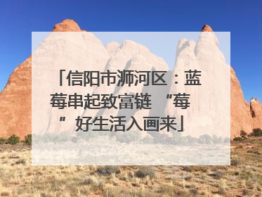 信阳市浉河区：蓝莓串起致富链 “莓”好生活入画来