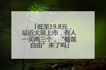低至19.8元，最近大量上市，有人一买两三个，“榴莲自由”来了吗