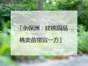 余保洲：建桃园品桃卖苗带富一方