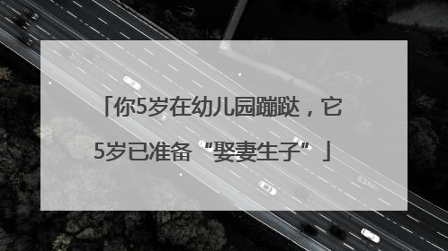 你5岁在幼儿园蹦跶，它5岁已准备“娶妻生子”