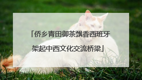 侨乡青田御茶飘香西班牙 架起中西文化交流桥梁
