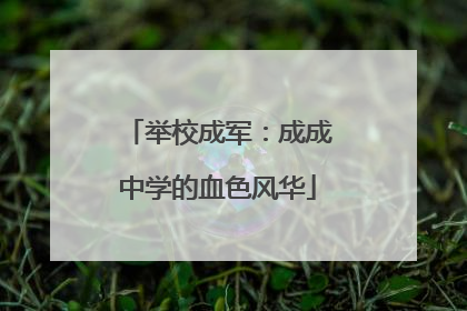 举校成军：成成中学的血色风华