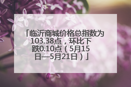 临沂商城价格总指数为103.38点，环比下跌0.10点（5月15日—5月21日）