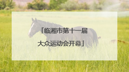 临湘市第十一届大众运动会开幕