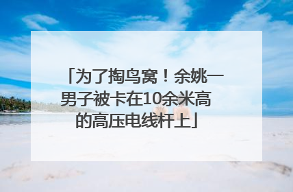 为了掏鸟窝！余姚一男子被卡在10余米高的高压电线杆上