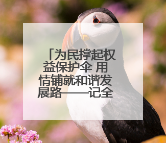 为民撑起权益保护伞 用情铺就和谐发展路——记全国先进工作者、新区项目建设中心干部卢小勇