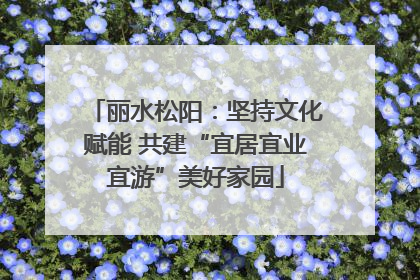 丽水松阳：坚持文化赋能 共建“宜居宜业宜游”美好家园