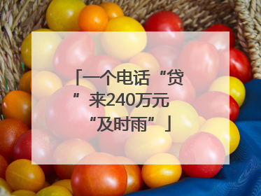 一个电话“贷”来240万元“及时雨”